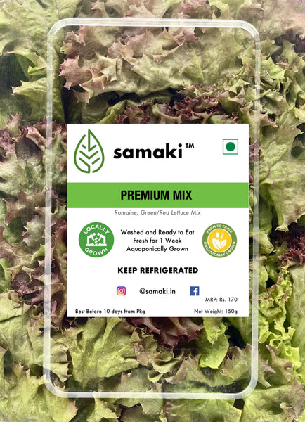 Salad Box - Premium Mix