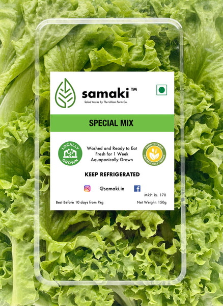 Salad Box - Special Mix